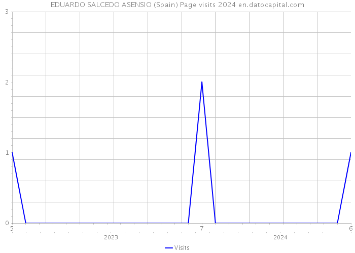 EDUARDO SALCEDO ASENSIO (Spain) Page visits 2024 