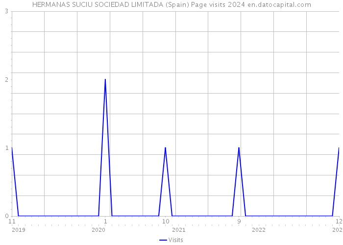 HERMANAS SUCIU SOCIEDAD LIMITADA (Spain) Page visits 2024 