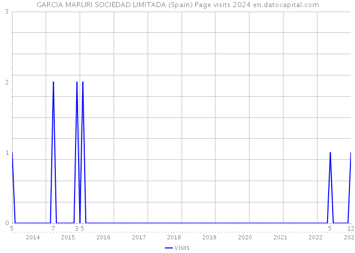 GARCIA MARURI SOCIEDAD LIMITADA (Spain) Page visits 2024 
