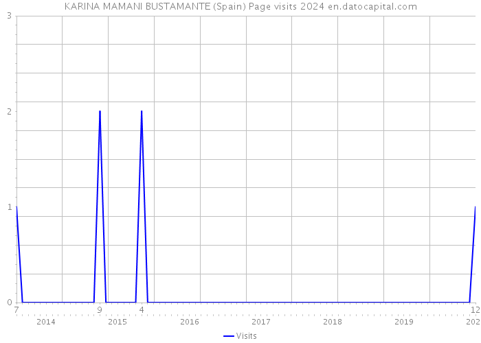 KARINA MAMANI BUSTAMANTE (Spain) Page visits 2024 