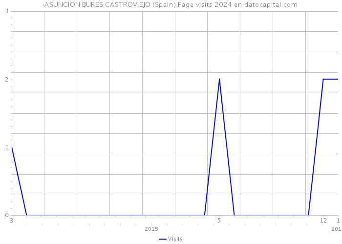 ASUNCION BURES CASTROVIEJO (Spain) Page visits 2024 