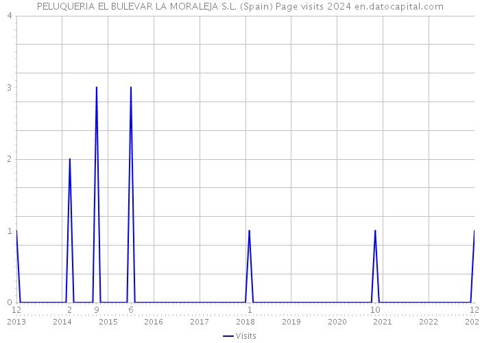 PELUQUERIA EL BULEVAR LA MORALEJA S.L. (Spain) Page visits 2024 