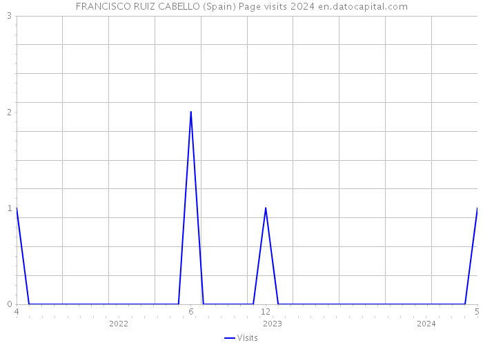 FRANCISCO RUIZ CABELLO (Spain) Page visits 2024 