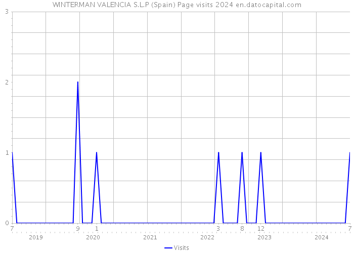 WINTERMAN VALENCIA S.L.P (Spain) Page visits 2024 