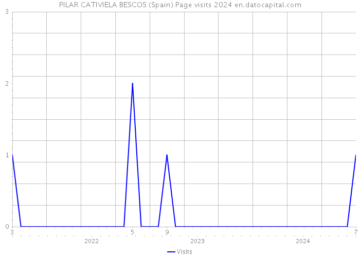 PILAR CATIVIELA BESCOS (Spain) Page visits 2024 