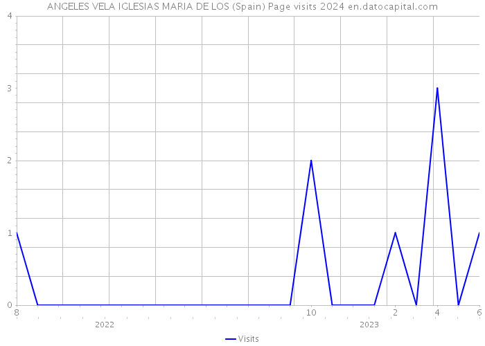 ANGELES VELA IGLESIAS MARIA DE LOS (Spain) Page visits 2024 