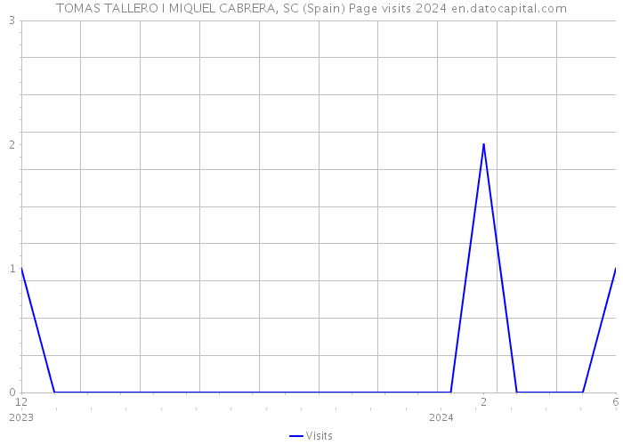 TOMAS TALLERO I MIQUEL CABRERA, SC (Spain) Page visits 2024 