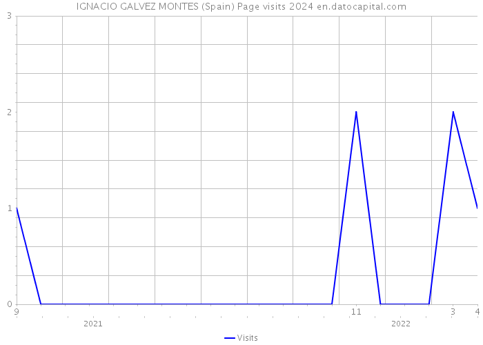 IGNACIO GALVEZ MONTES (Spain) Page visits 2024 