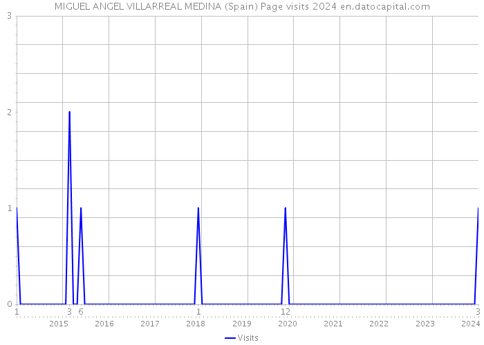 MIGUEL ANGEL VILLARREAL MEDINA (Spain) Page visits 2024 