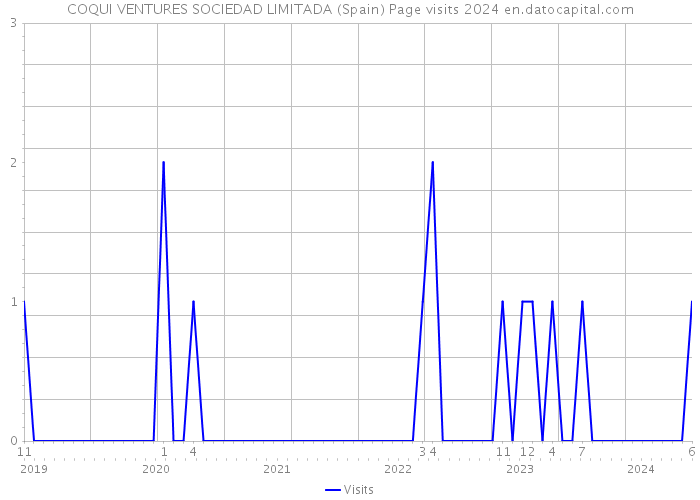 COQUI VENTURES SOCIEDAD LIMITADA (Spain) Page visits 2024 