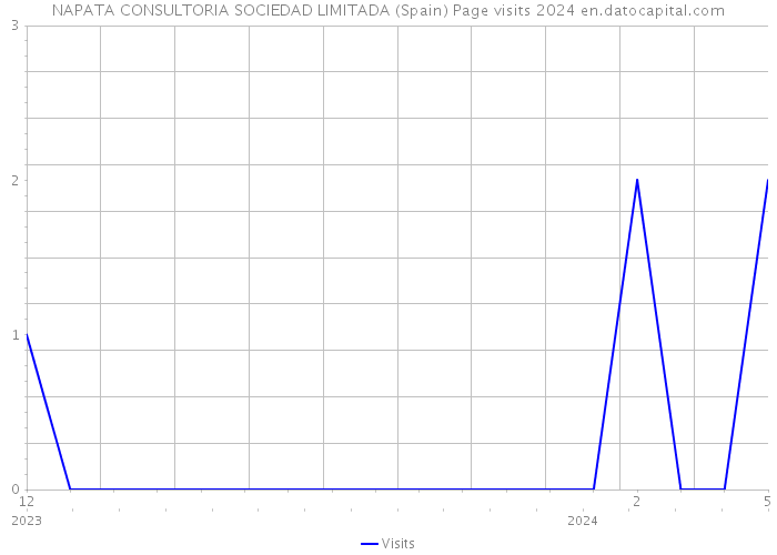 NAPATA CONSULTORIA SOCIEDAD LIMITADA (Spain) Page visits 2024 
