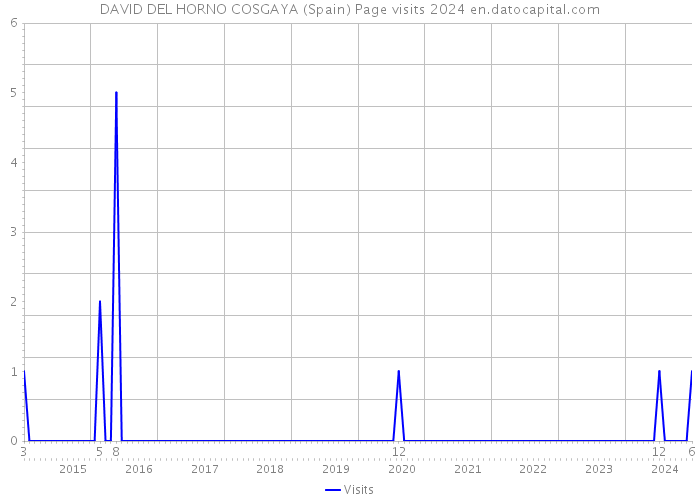 DAVID DEL HORNO COSGAYA (Spain) Page visits 2024 