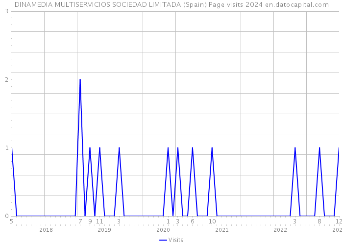 DINAMEDIA MULTISERVICIOS SOCIEDAD LIMITADA (Spain) Page visits 2024 