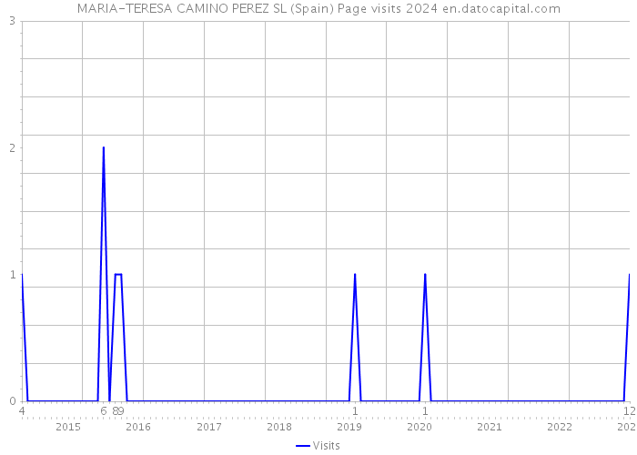 MARIA-TERESA CAMINO PEREZ SL (Spain) Page visits 2024 