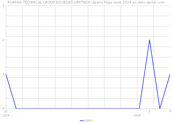ROANSA TECHNICAL GROUP SOCIEDAD LIMITADA (Spain) Page visits 2024 