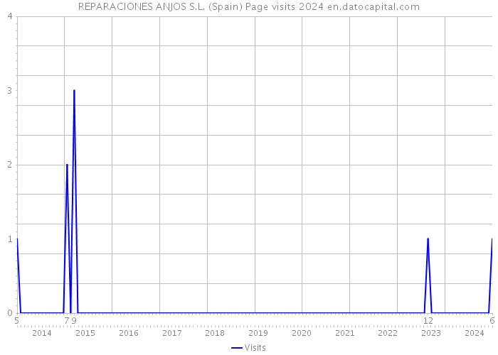 REPARACIONES ANJOS S.L. (Spain) Page visits 2024 