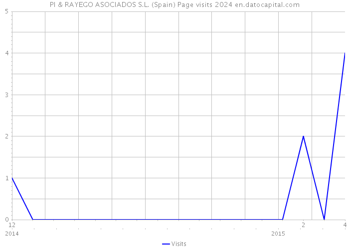 PI & RAYEGO ASOCIADOS S.L. (Spain) Page visits 2024 