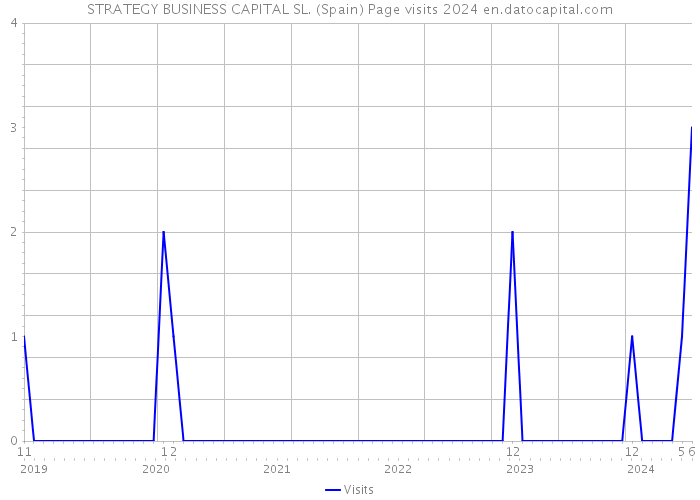 STRATEGY BUSINESS CAPITAL SL. (Spain) Page visits 2024 