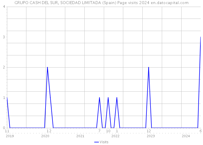 GRUPO CASH DEL SUR, SOCIEDAD LIMITADA (Spain) Page visits 2024 