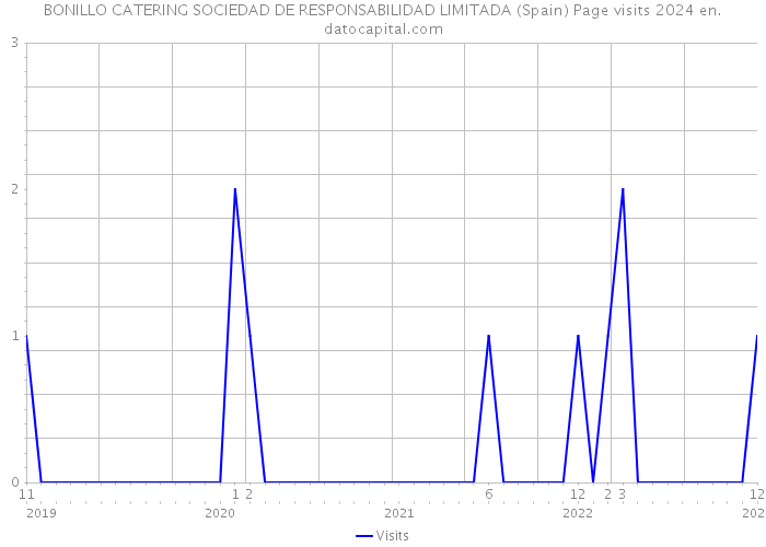 BONILLO CATERING SOCIEDAD DE RESPONSABILIDAD LIMITADA (Spain) Page visits 2024 