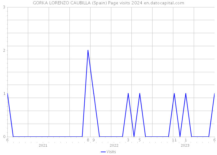 GORKA LORENZO CAUBILLA (Spain) Page visits 2024 