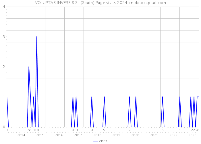 VOLUPTAS INVERSIS SL (Spain) Page visits 2024 