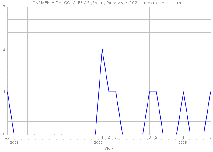 CARMEN HIDALGO IGLESIAS (Spain) Page visits 2024 