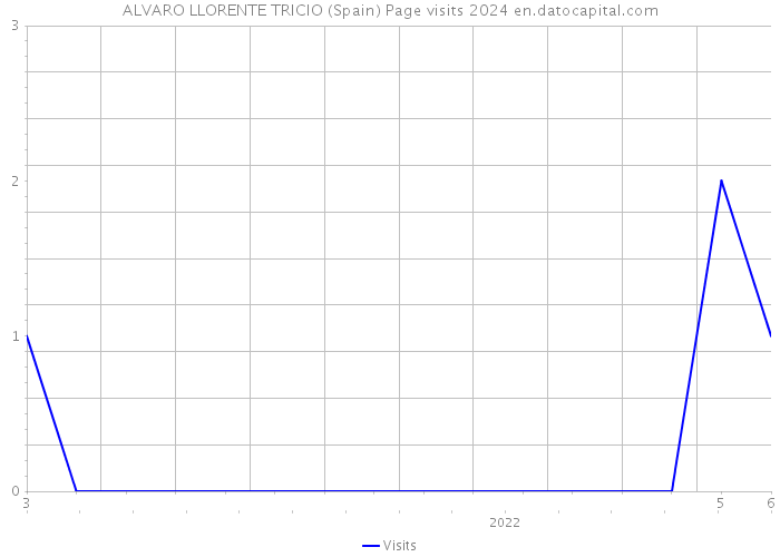 ALVARO LLORENTE TRICIO (Spain) Page visits 2024 