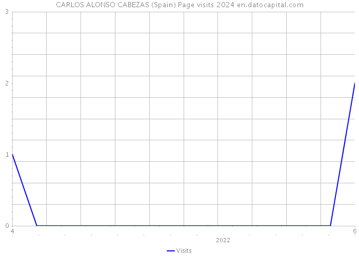 CARLOS ALONSO CABEZAS (Spain) Page visits 2024 