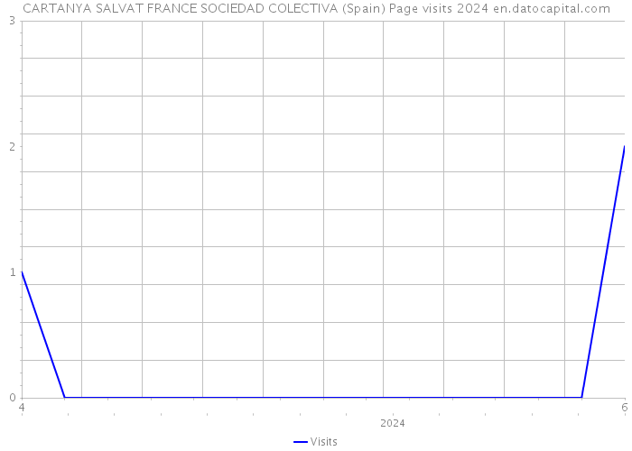 CARTANYA SALVAT FRANCE SOCIEDAD COLECTIVA (Spain) Page visits 2024 