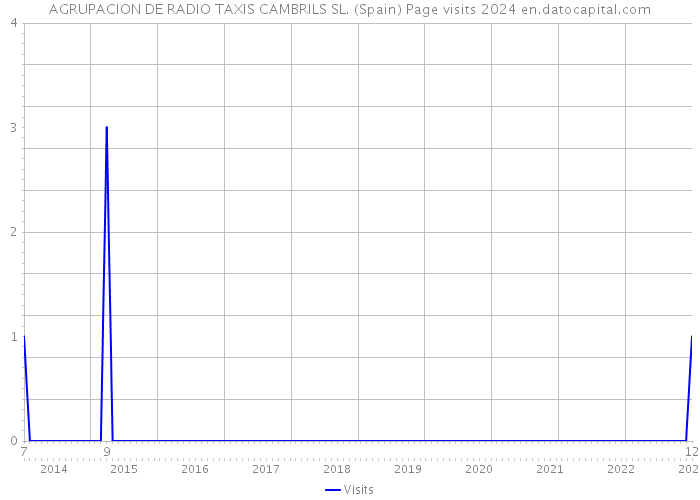 AGRUPACION DE RADIO TAXIS CAMBRILS SL. (Spain) Page visits 2024 