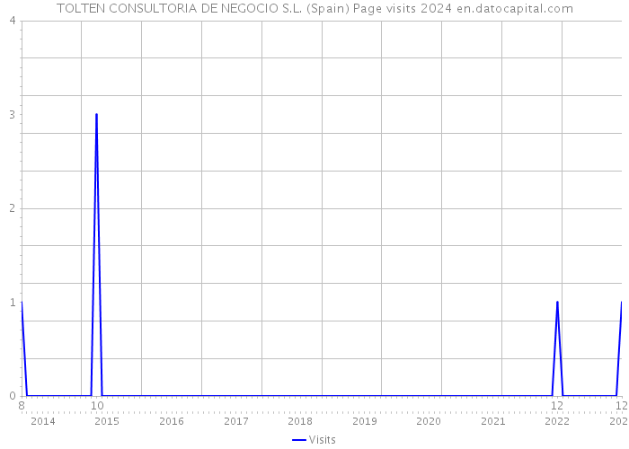 TOLTEN CONSULTORIA DE NEGOCIO S.L. (Spain) Page visits 2024 