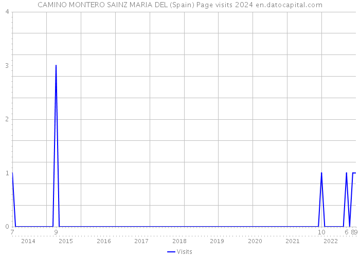 CAMINO MONTERO SAINZ MARIA DEL (Spain) Page visits 2024 