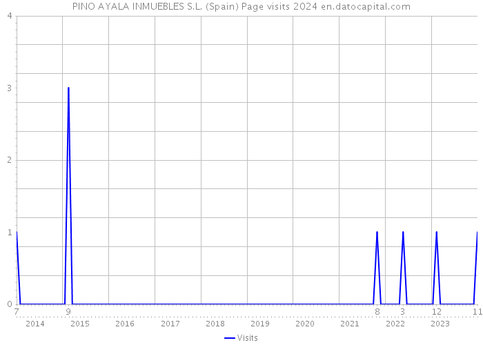 PINO AYALA INMUEBLES S.L. (Spain) Page visits 2024 