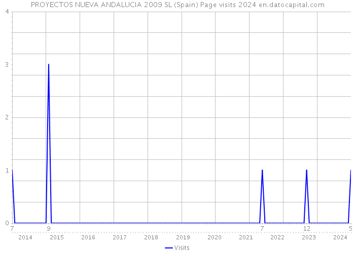 PROYECTOS NUEVA ANDALUCIA 2009 SL (Spain) Page visits 2024 