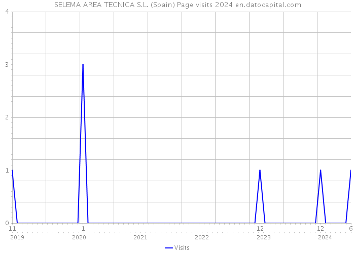 SELEMA AREA TECNICA S.L. (Spain) Page visits 2024 