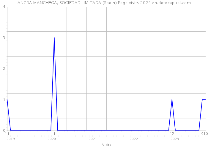 ANGRA MANCHEGA, SOCIEDAD LIMITADA (Spain) Page visits 2024 