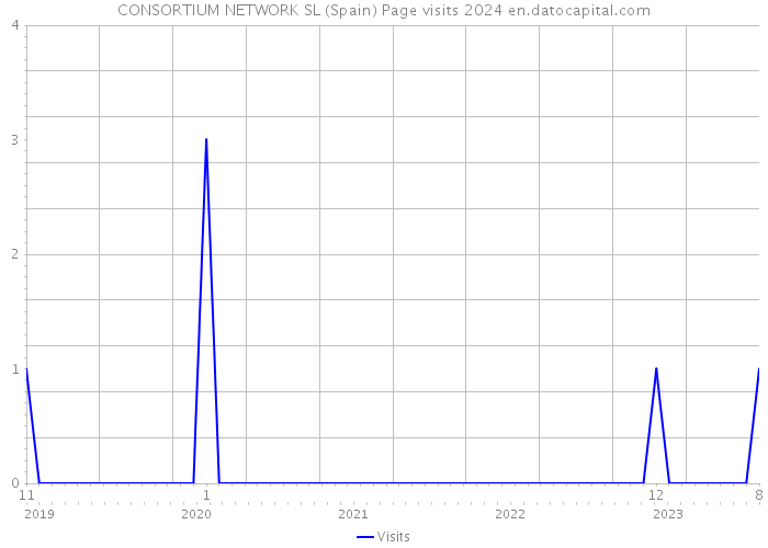 CONSORTIUM NETWORK SL (Spain) Page visits 2024 