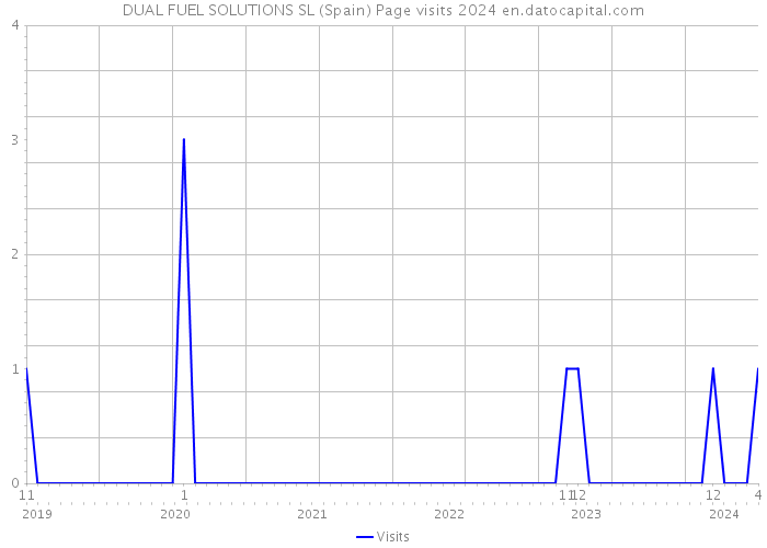 DUAL FUEL SOLUTIONS SL (Spain) Page visits 2024 