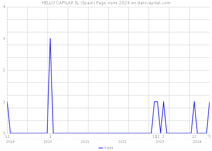 HELLO CAPILAR SL (Spain) Page visits 2024 