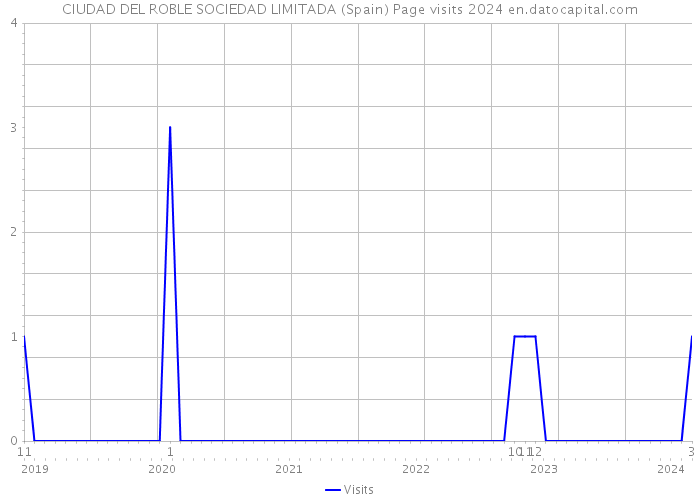 CIUDAD DEL ROBLE SOCIEDAD LIMITADA (Spain) Page visits 2024 