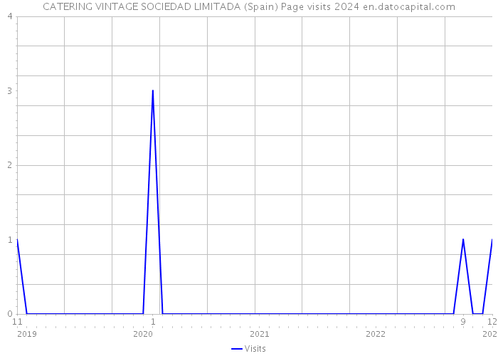 CATERING VINTAGE SOCIEDAD LIMITADA (Spain) Page visits 2024 