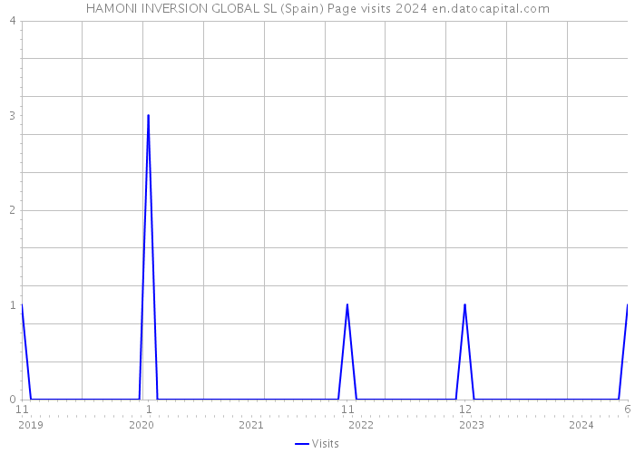 HAMONI INVERSION GLOBAL SL (Spain) Page visits 2024 