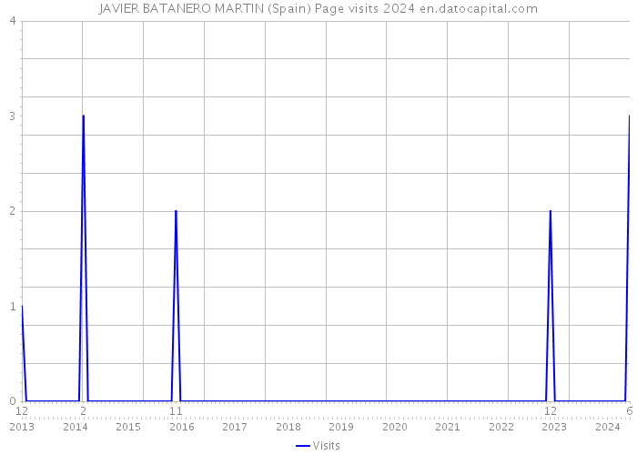 JAVIER BATANERO MARTIN (Spain) Page visits 2024 