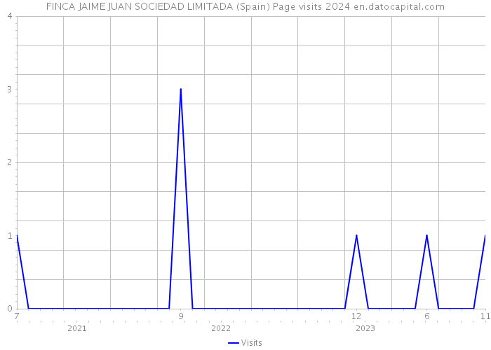 FINCA JAIME JUAN SOCIEDAD LIMITADA (Spain) Page visits 2024 