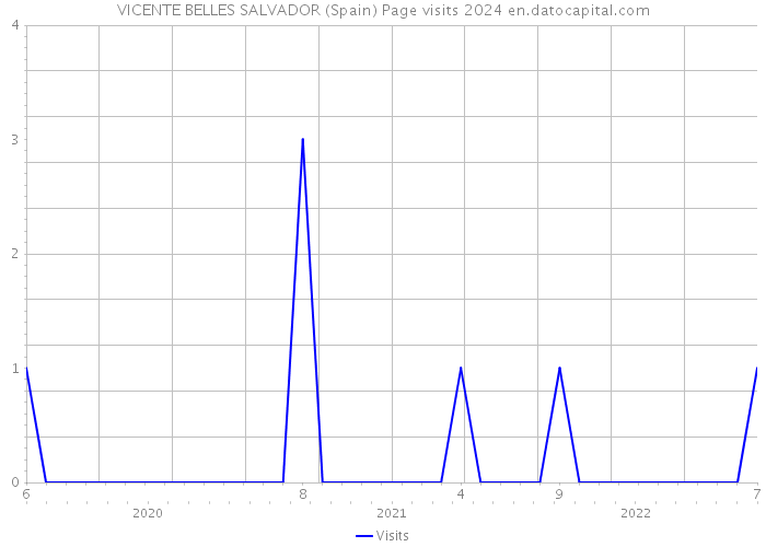 VICENTE BELLES SALVADOR (Spain) Page visits 2024 