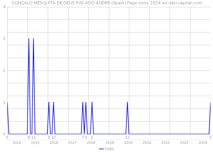 GONÇALO MESQUITA DE DEUS RISCADO ANDRE (Spain) Page visits 2024 