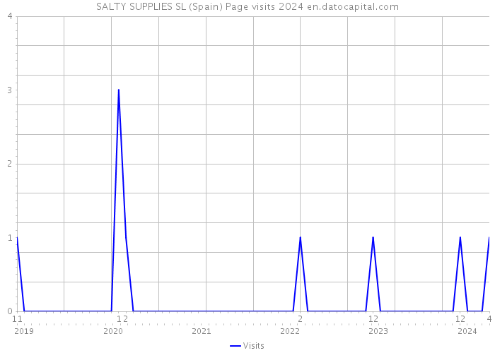 SALTY SUPPLIES SL (Spain) Page visits 2024 