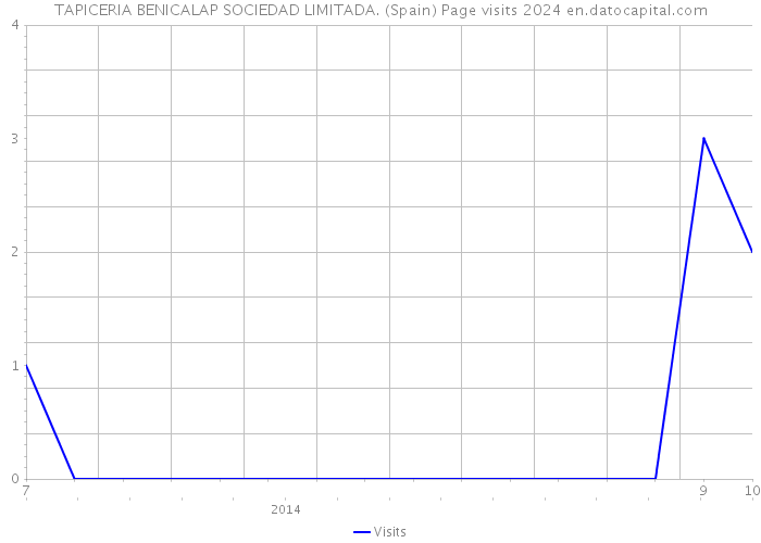 TAPICERIA BENICALAP SOCIEDAD LIMITADA. (Spain) Page visits 2024 