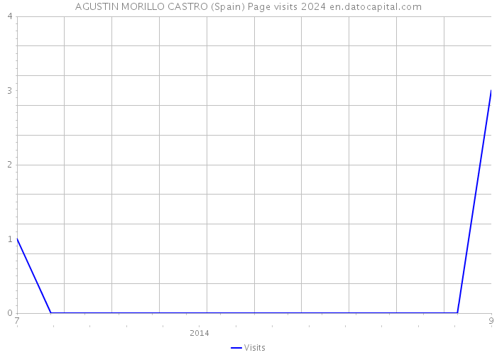 AGUSTIN MORILLO CASTRO (Spain) Page visits 2024 
